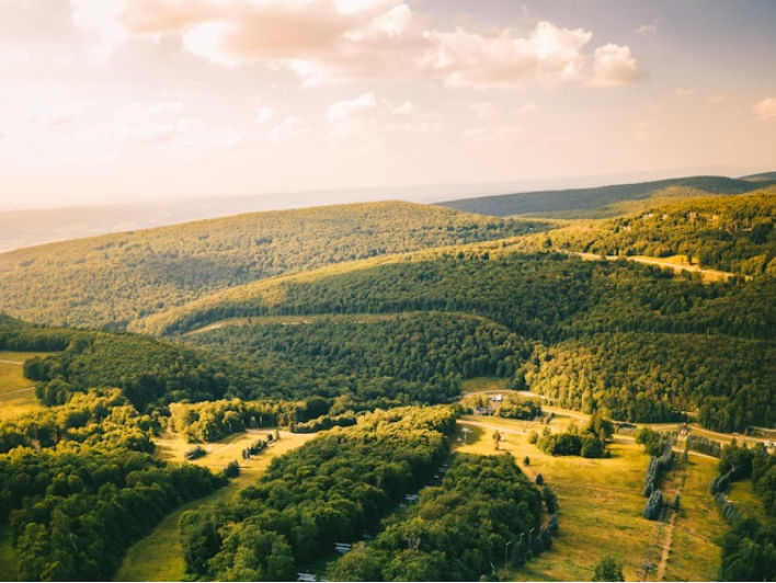 PENNSYLVANIA Wedding Rings