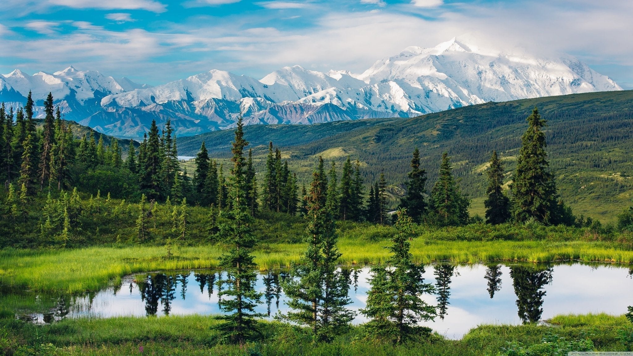 ALASKA - Carry This Beautiful State with You in Your Wedding Rings - Minter and Richter Designs
