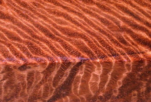 AMBOYNA BURL WOOD Wedding Rings - Minter and Richter Designs