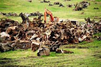 ANCIENT KAURI WOOD Wedding Rings - How Earthy Materials Like Wood, Sand, Dirt and Rocks Can Symbolize Your Unique Love Story - Minter and Richter Designs
