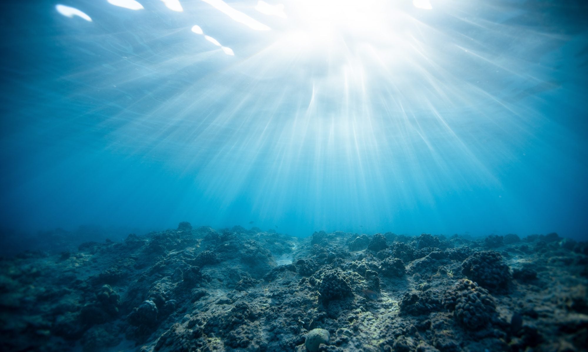 Aquatic Blue - The Resin for YOU! - Minter and Richter Designs