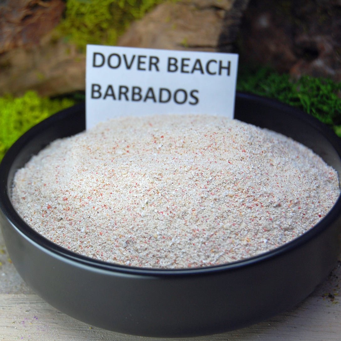 BARBADOS Beach Sand Wedding Rings - How Earthy Materials Like Sand, Dirt and Rocks Can Symbolize Your Unique Love Story - Minter and Richter Designs