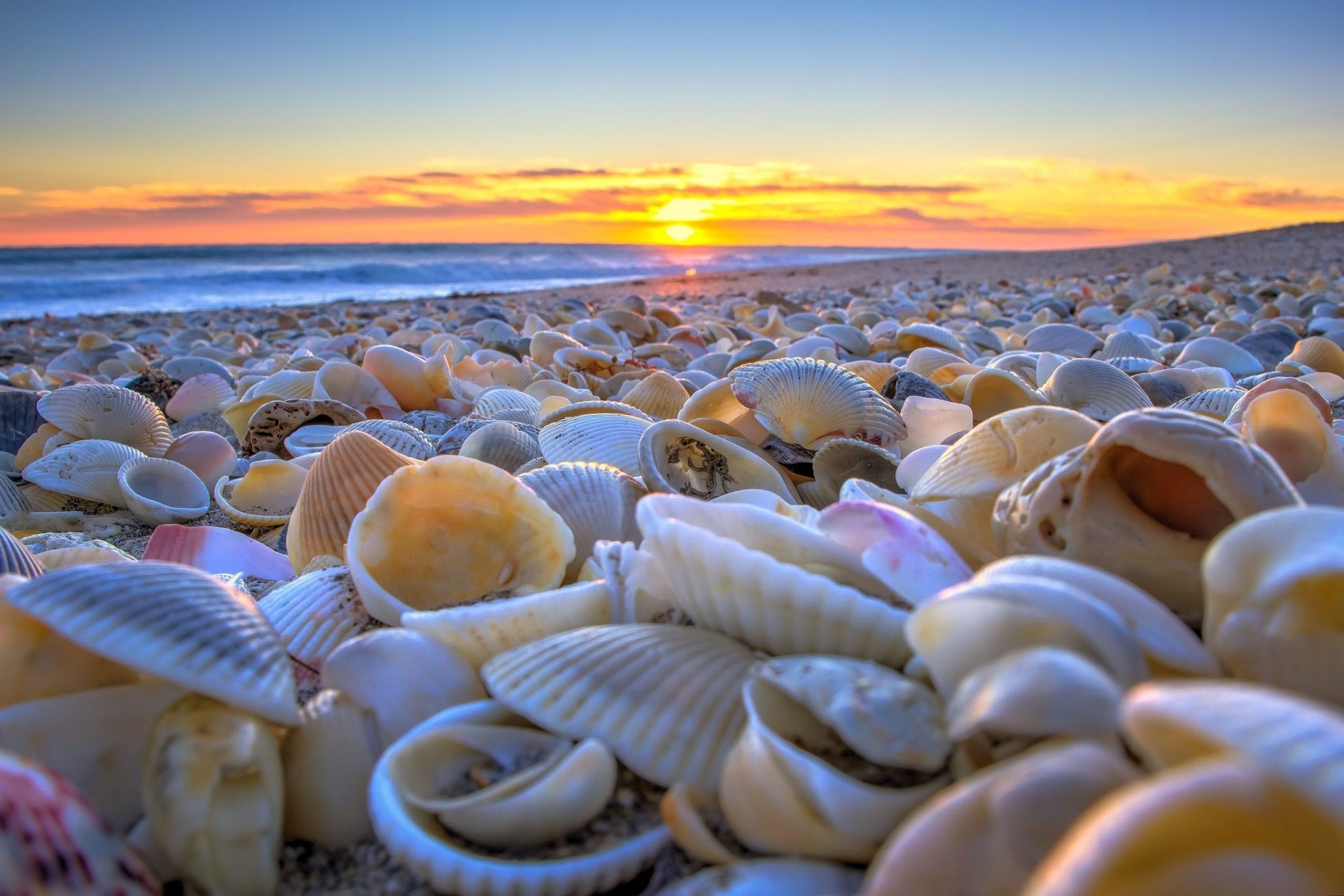 Can I Send in My Own Sand or Rocks to Use in My Wedding Ring? YES! - Minter and Richter Designs