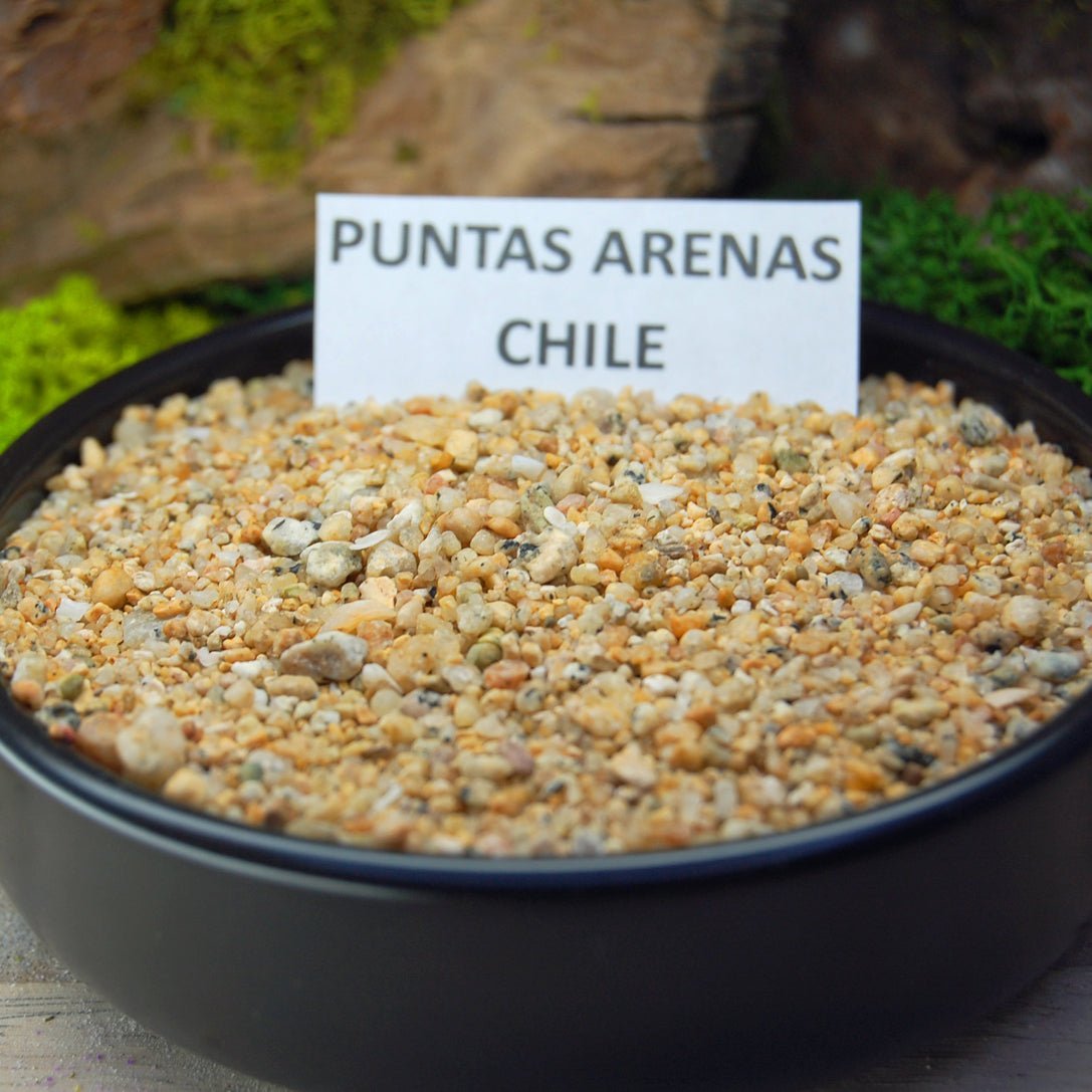 CHILE Beach Sand Wedding Rings - How Earthy Materials Like Sand, Dirt and Rocks Can Symbolize Your Unique Love Story - Minter and Richter Designs