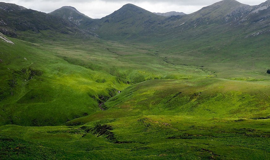 CONNEMARA MARBLE STONE Wedding Rings - Minter and Richter Designs