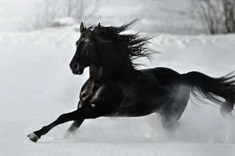 Guardian Angel Birthstone for January - Onyx - Minter and Richter Designs