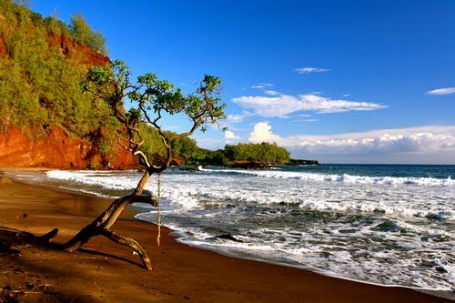 HAWAII - Carry This Beautiful State with You in Your Wedding Rings - Minter and Richter Designs