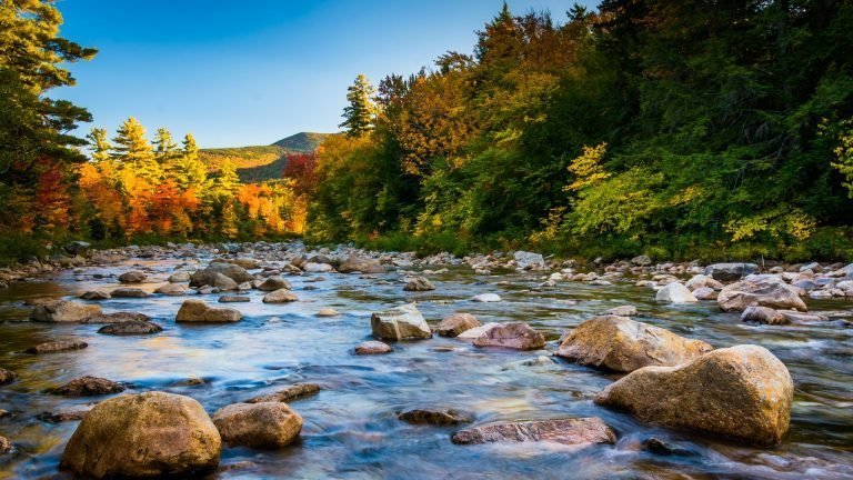 NEW HAMPSHIRE - Carry This Beautiful State with You in Your Wedding Rings - Minter and Richter Designs