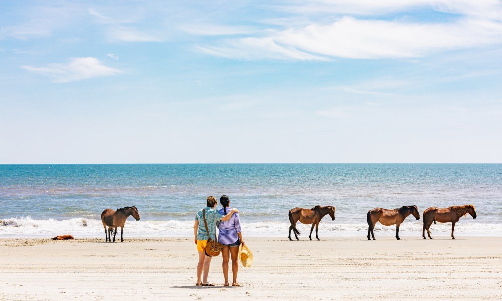 NORTH CAROLINA - Carry This Beautiful State with You in Your Wedding Rings - Minter and Richter Designs