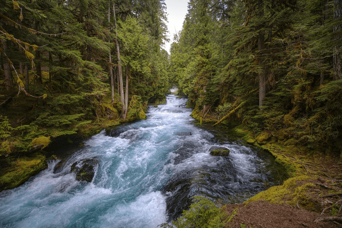 OREGON - Carry This Beautiful State with You in Your Wedding Rings - Minter and Richter Designs