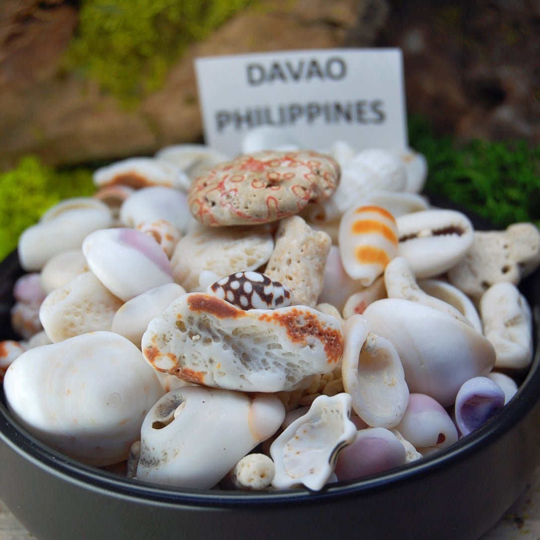 PHILIPPINES Beach Sand Wedding Rings - Minter and Richter Designs