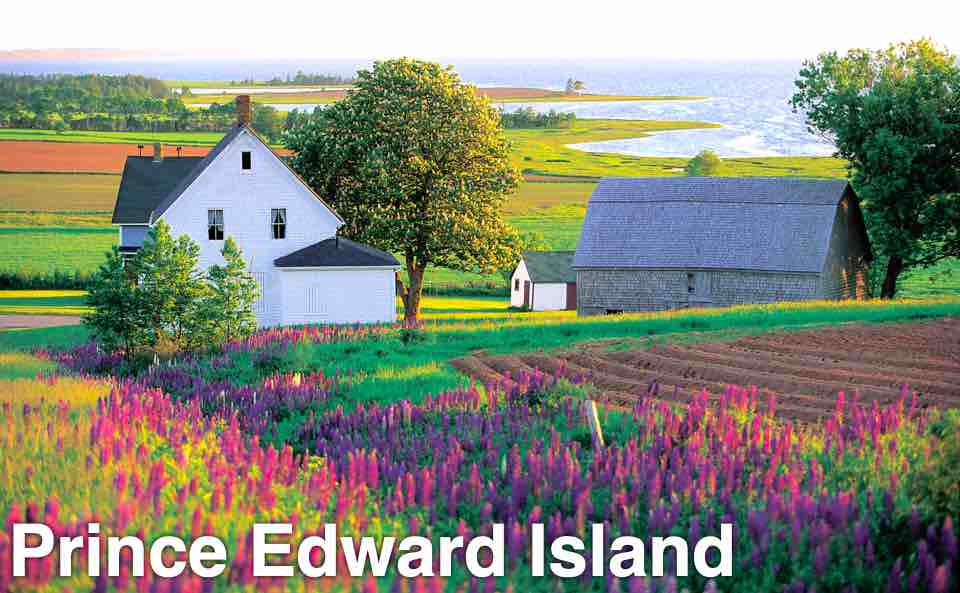 PRINCE EDWARD ISLAND BEACH SAND Wedding Rings - Minter and Richter Designs