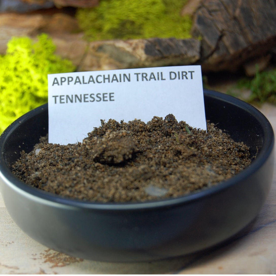 TENNESSEE Beach Sand Wedding Rings - Minter and Richter Designs