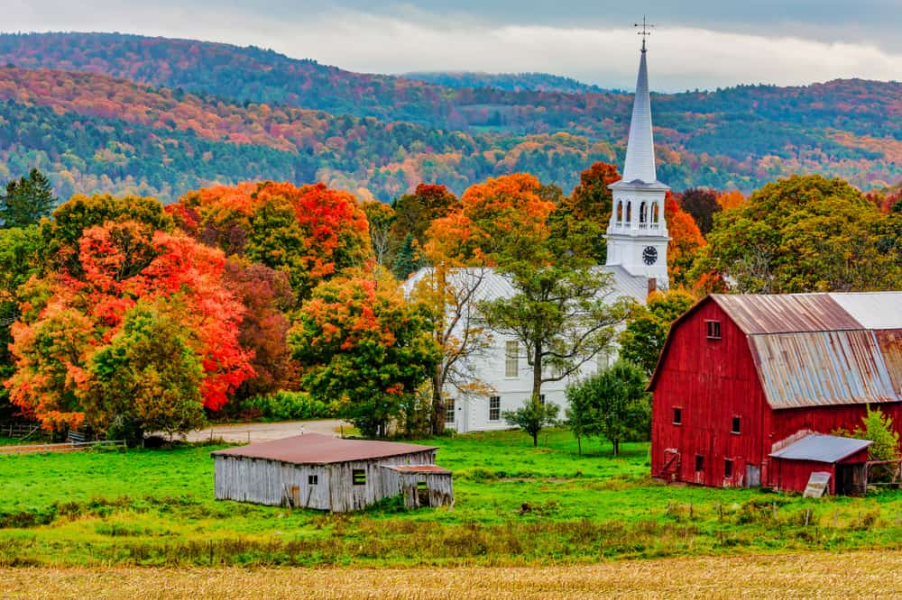 VERMONT - Minter and Richter Designs