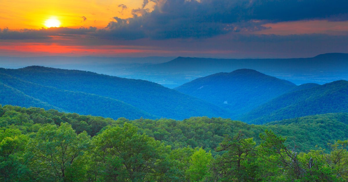 VIRGINIA - Carry This Beautiful State with You in Your Wedding Rings - Minter and Richter Designs