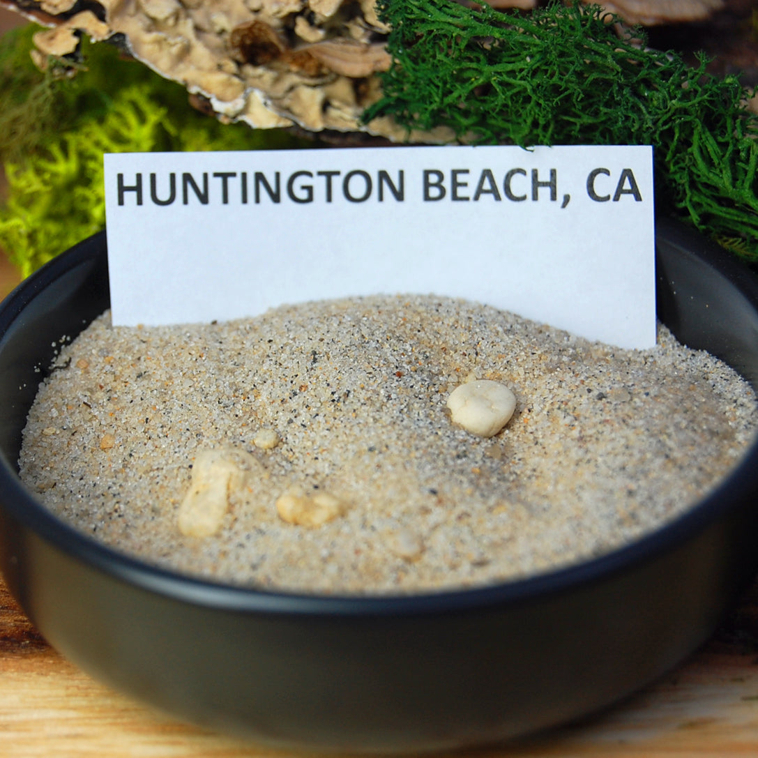 HUNTINGTON AUSSIE BRONZE | Men's Beach Sand, Sea Shells, Bronze & Titanium Wedding Ring