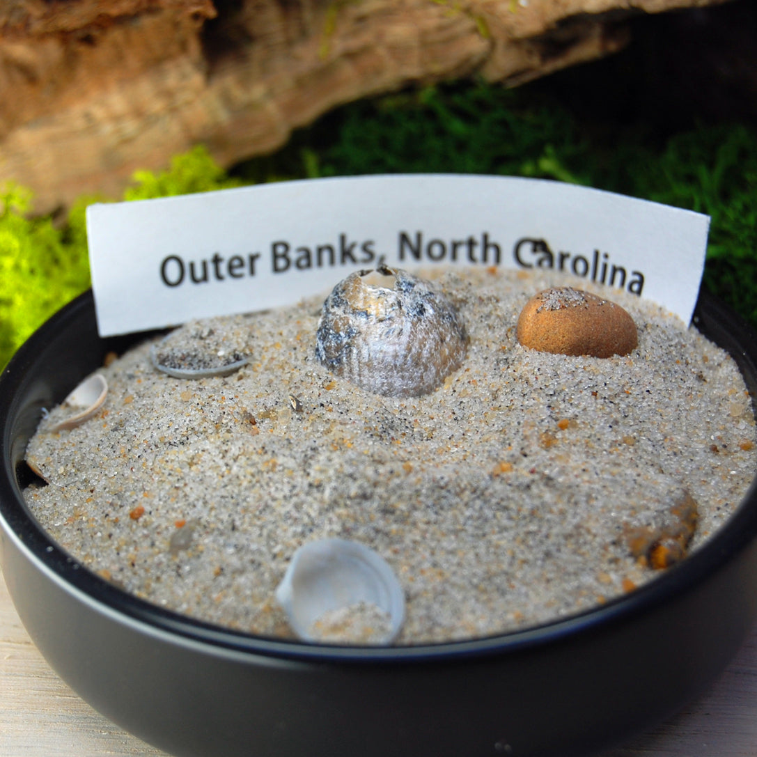 Carolina Meteorite | Men's Meteorite, Outer Banks Beach Sand, & Titanium Wedding Ring