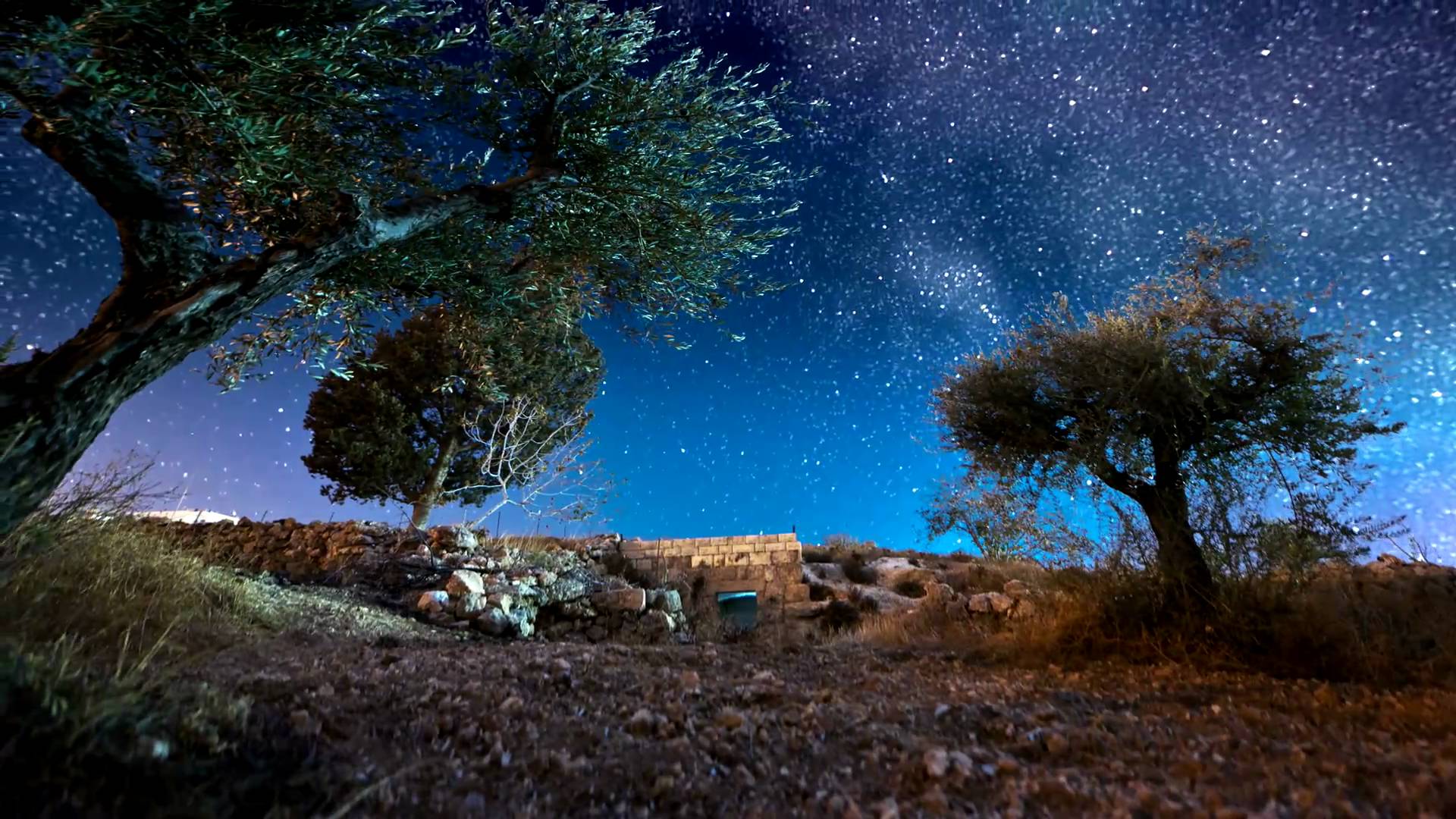 Bethlehem | Stones Of Israel - Ring Of The Promised Land - Unique Wedding Ring - Minter and Richter Designs