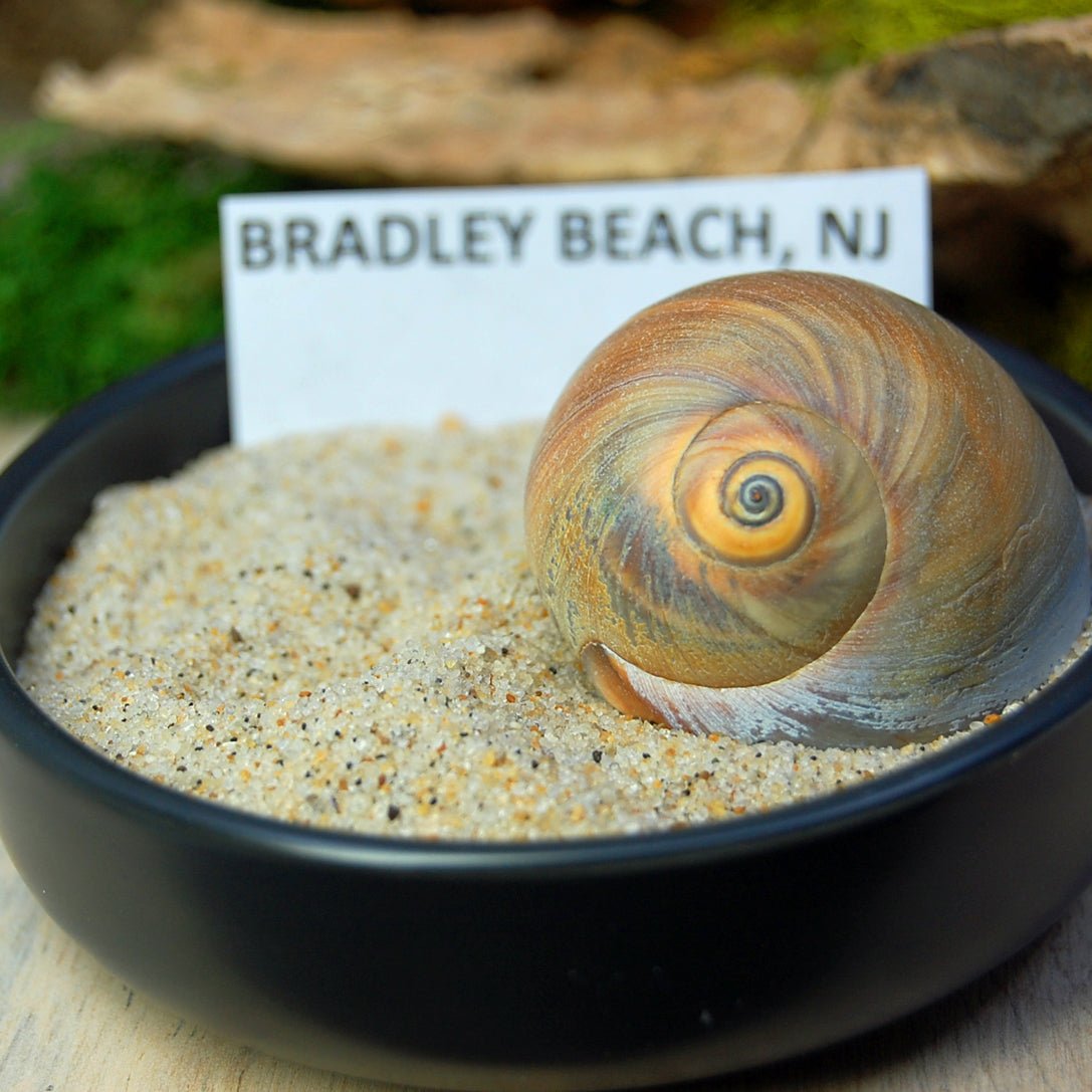 Bradley Beach NJ | NJ Beach Sand, Copper & Titanium Wedding Ring - Minter and Richter Designs