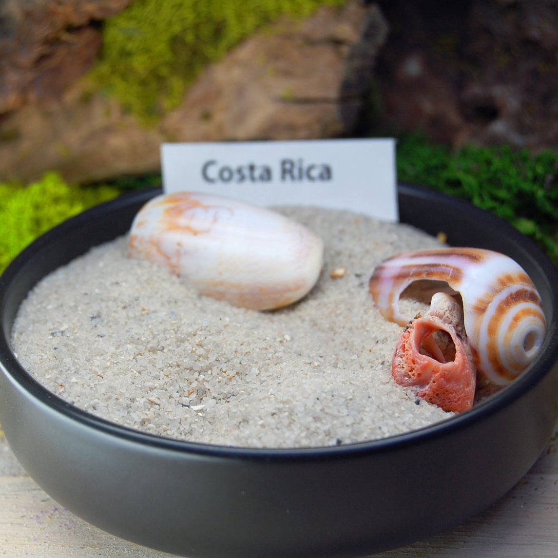 COSTA RICA COCO SET | Costa Rica Beach Sand, Crushed Jade, Cocobolo & Titanium - Unique Wedding Rings - Minter and Richter Designs