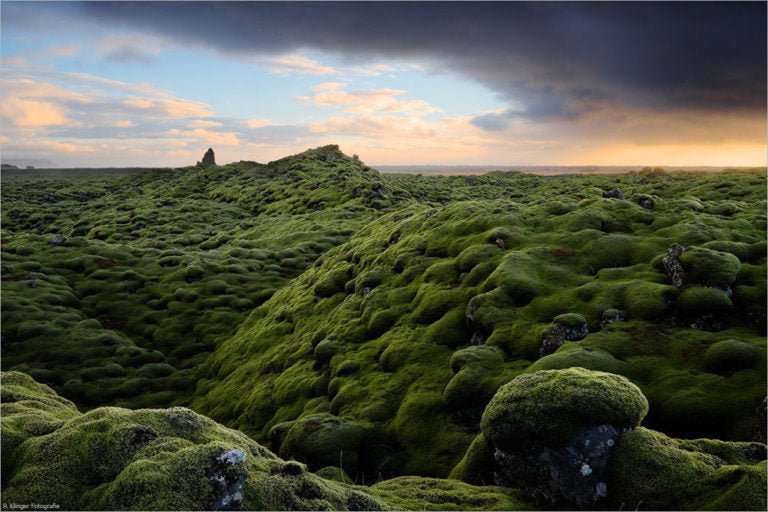 ELDHRAUN LAVA FIELD | Icelandic Lava & Jade Titanium Wedding Ring - Minter and Richter Designs