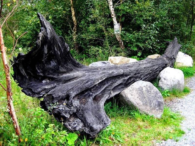 Irish Sea | Men's Irish Bog Oak, Cobalt Stone & Titanium Wedding Ring - Minter and Richter Designs