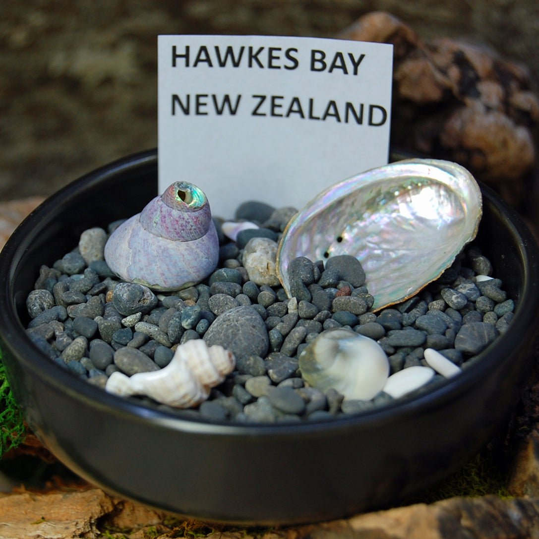 LOVE BAY TO BAY | Aquatic Blue Resin & CA RedWood, Hawkes Bay New Zealand Sand - Beach Sand Ring - Wooden Wedding Ring - Minter and Richter Designs