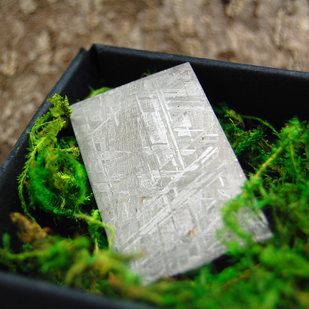 PALO SANTO | Men's Meteorite, Malachite, Lignum Vitae & Titanium Wedding Ring