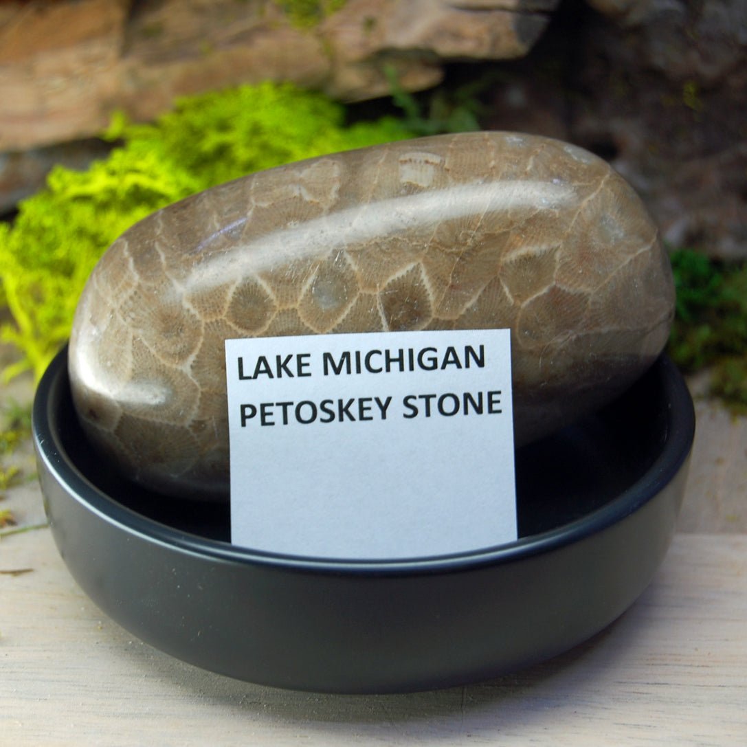 Michigan to Alaska | Petoskey Stone and Alaskan Beach Sand - Unique Wedding Ring - Minter and Richter Designs