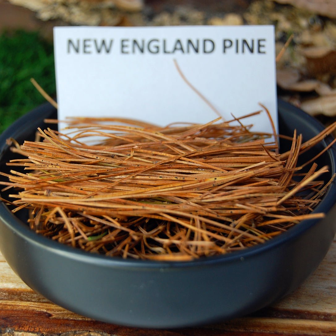 NEW ENGLAND PINES | Pine Needles, Crushed Amethyst, Salisbury MA Sand - Unique Wedding Ring - Minter and Richter Designs