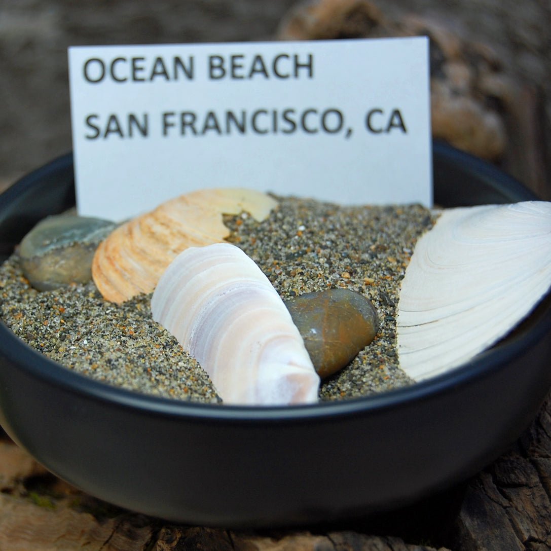 OCEAN BEACH SAN FRANCISCO | Ocean Beach CA Beach Sand & Inox Wedding Ring - Minter and Richter Designs