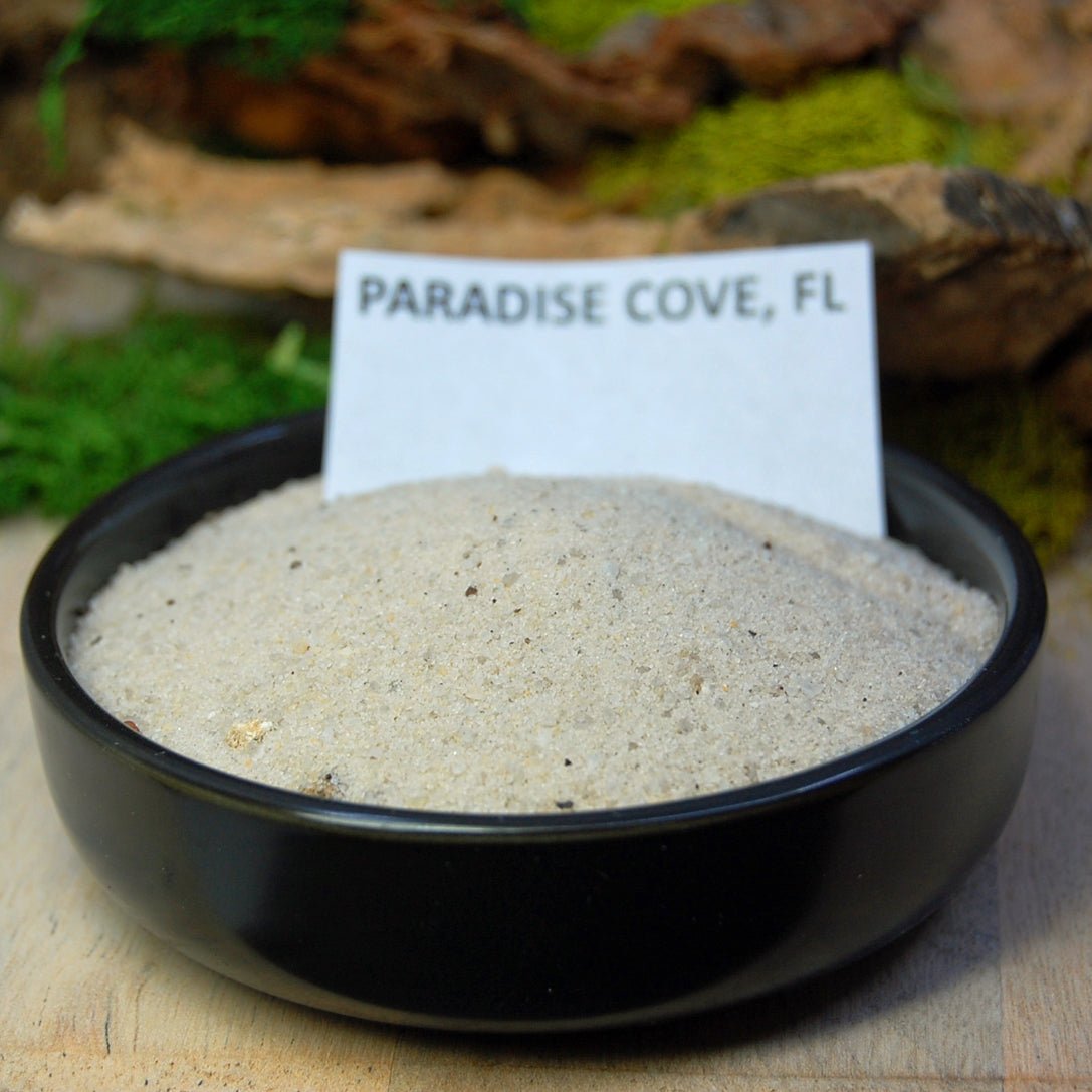 Paradise Cove | Men's Charoite, Beach Sand & Titanium Wedding Ring - Minter and Richter Designs