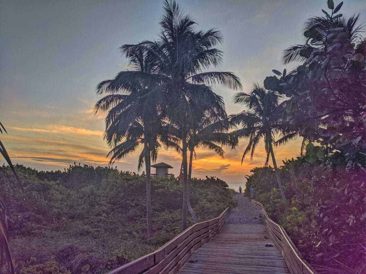 Riviera Beach Florida | Men's Blue Box Elder Wood, Riviera Beach Sand, Tibetan Turquoise, Bronze & Titanium Wedding Ring - Minter and Richter Designs
