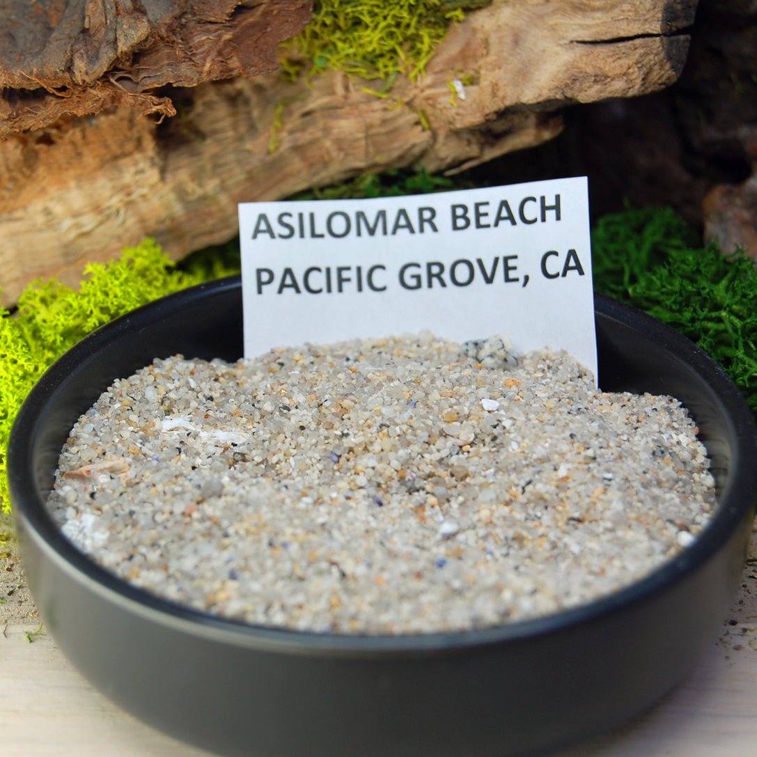 THREE SISTERS | Blue Bronze Mokume Gane, Gold & Beach Sand and Sea Shells Wedding Ring - Minter and Richter Designs