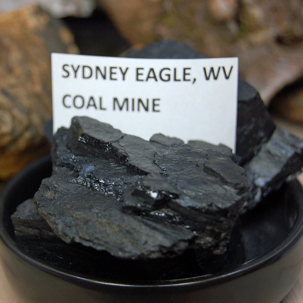 WEST VIRGINIA COAL | Men's Coal Titanium Wedding Ring - Minter and Richter Designs