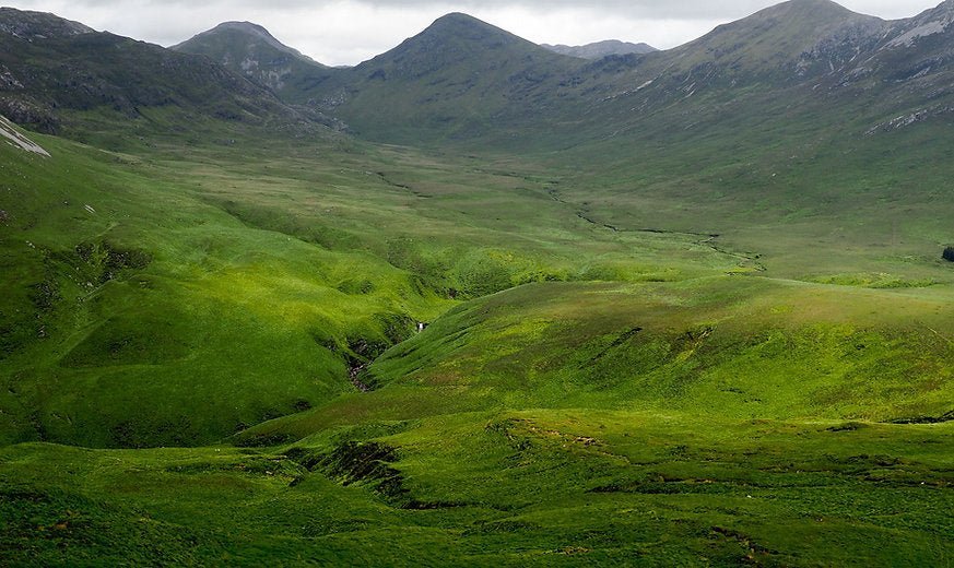 CONNEMARA MARBLE STONE Wedding Rings - Minter and Richter Designs