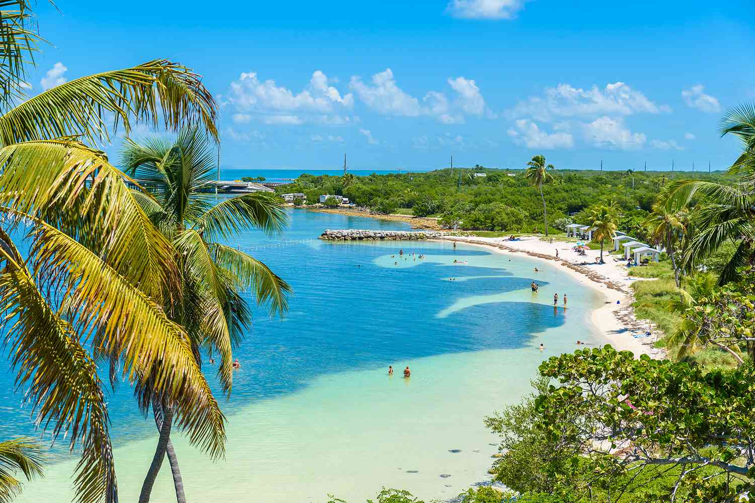 FLORIDA - Carry This Beautiful State with You in Your Wedding Rings