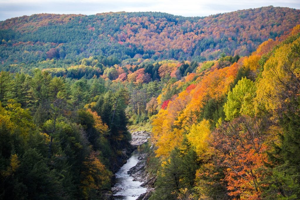 Getting Married in Vermont? - Minter and Richter Designs