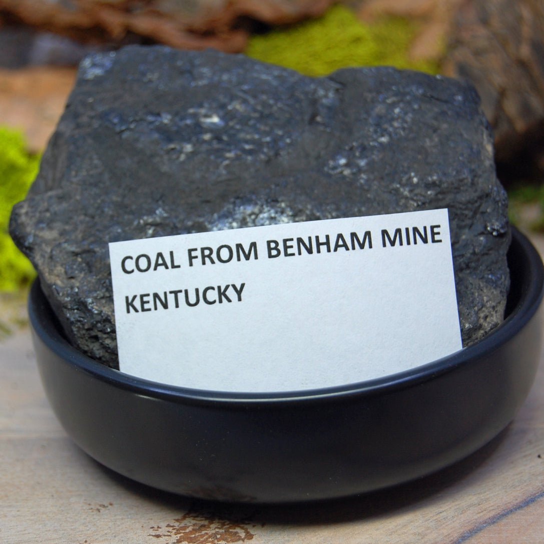 KENTUCKY Coal/Rocks Wedding Rings - Minter and Richter Designs