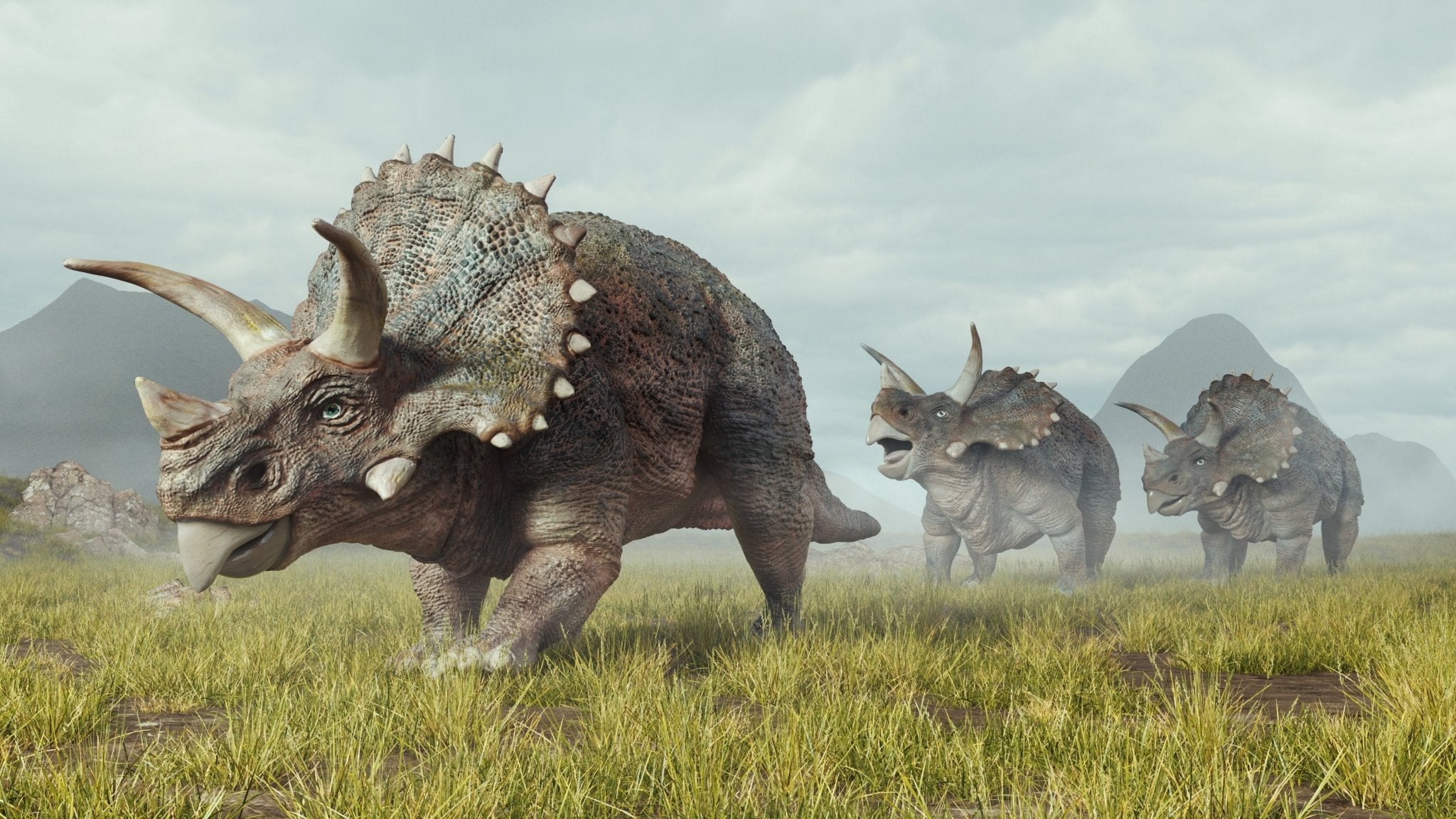 SOUL OF THE CERATOPS - Minter and Richter Designs