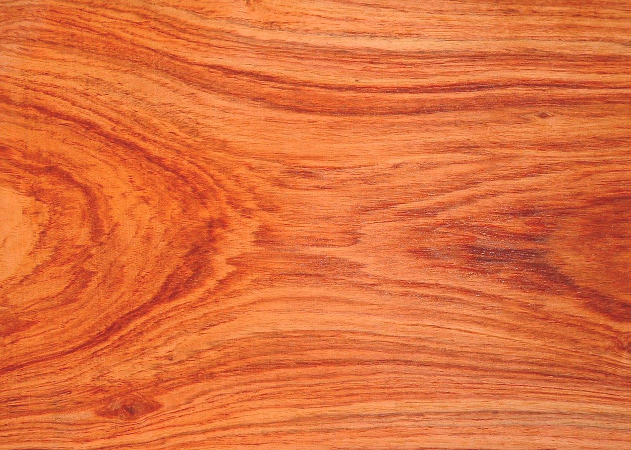 TULIP WOOD Wedding Rings - How Earthy Materials Like Wood, Sand, Dirt and Rocks Can Symbolize Your Unique Love Story - Minter and Richter Designs