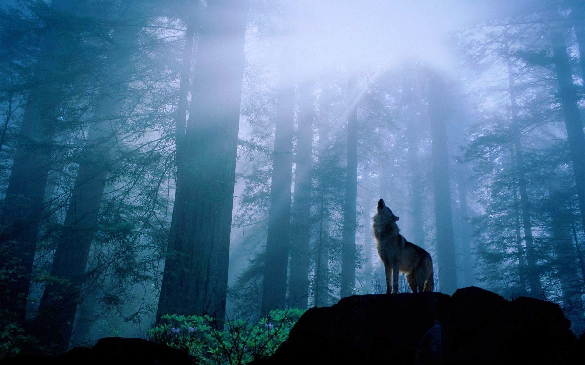 WOLF POWER in Your Ring - Minter and Richter Designs