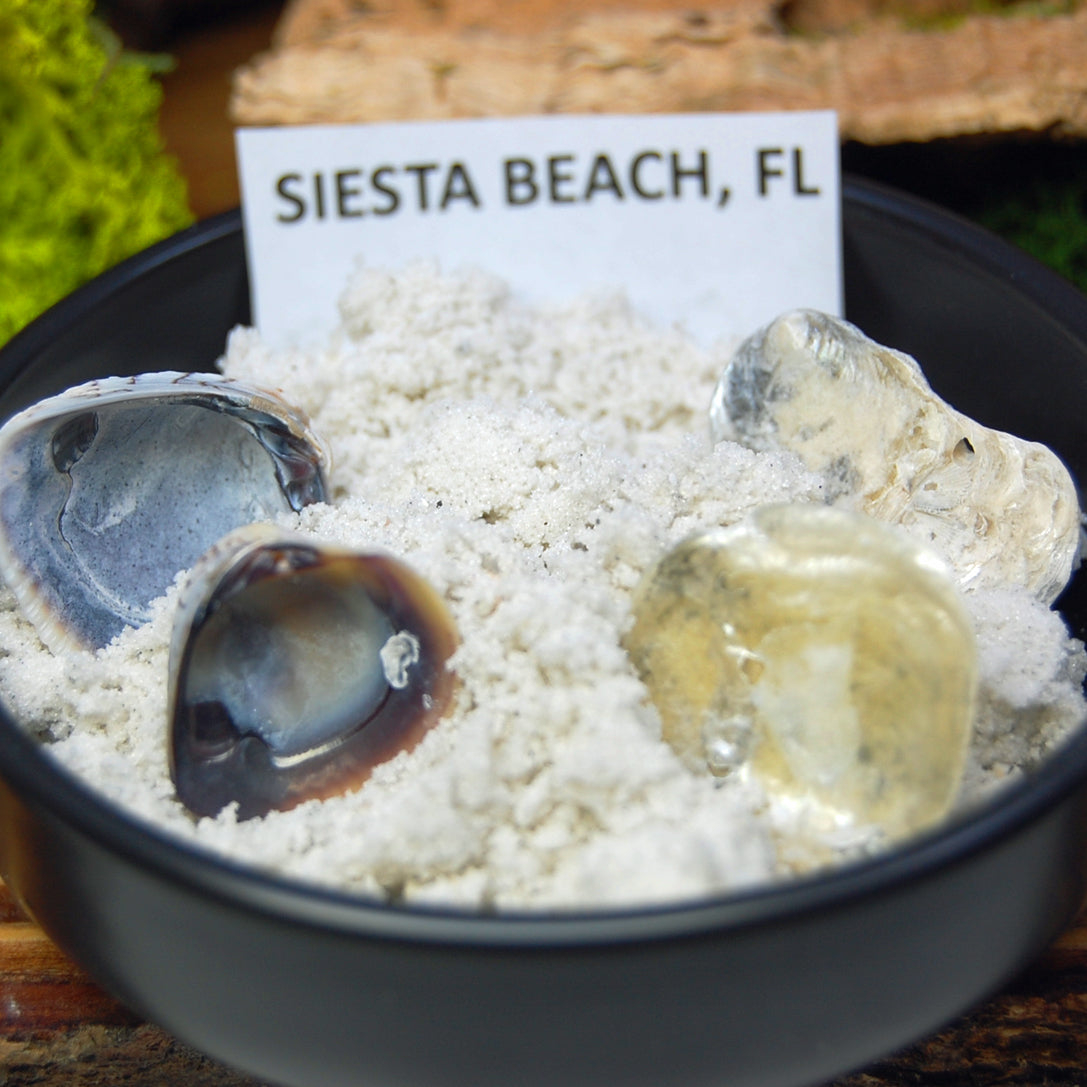 TURQUOISE IN SIESTA BEACH SET | Beach Sand, Shells, & Black-Webbed Turquoise Titanium His and Hers Wedding Rings