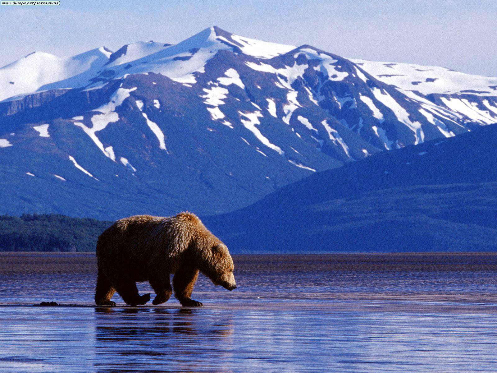 ALASKA BOUND | Alaskan Beach Sand - Unique Wedding Ring - Minter and Richter Designs