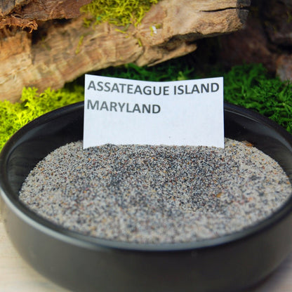 ASSATEAGUE SKIES SET | Assateague Beach Sand & Larimar Stone Titanium Wedding Rings - Minter and Richter Designs