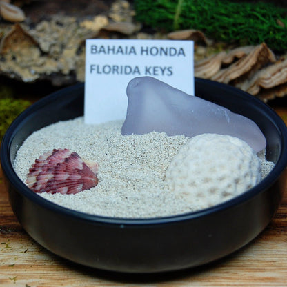 BAHIA HONDA BEACH SET | Bahia Honda Beach Sand, Box Elder Wood & Titanium - Unique Wedding Rings - Minter and Richter Designs