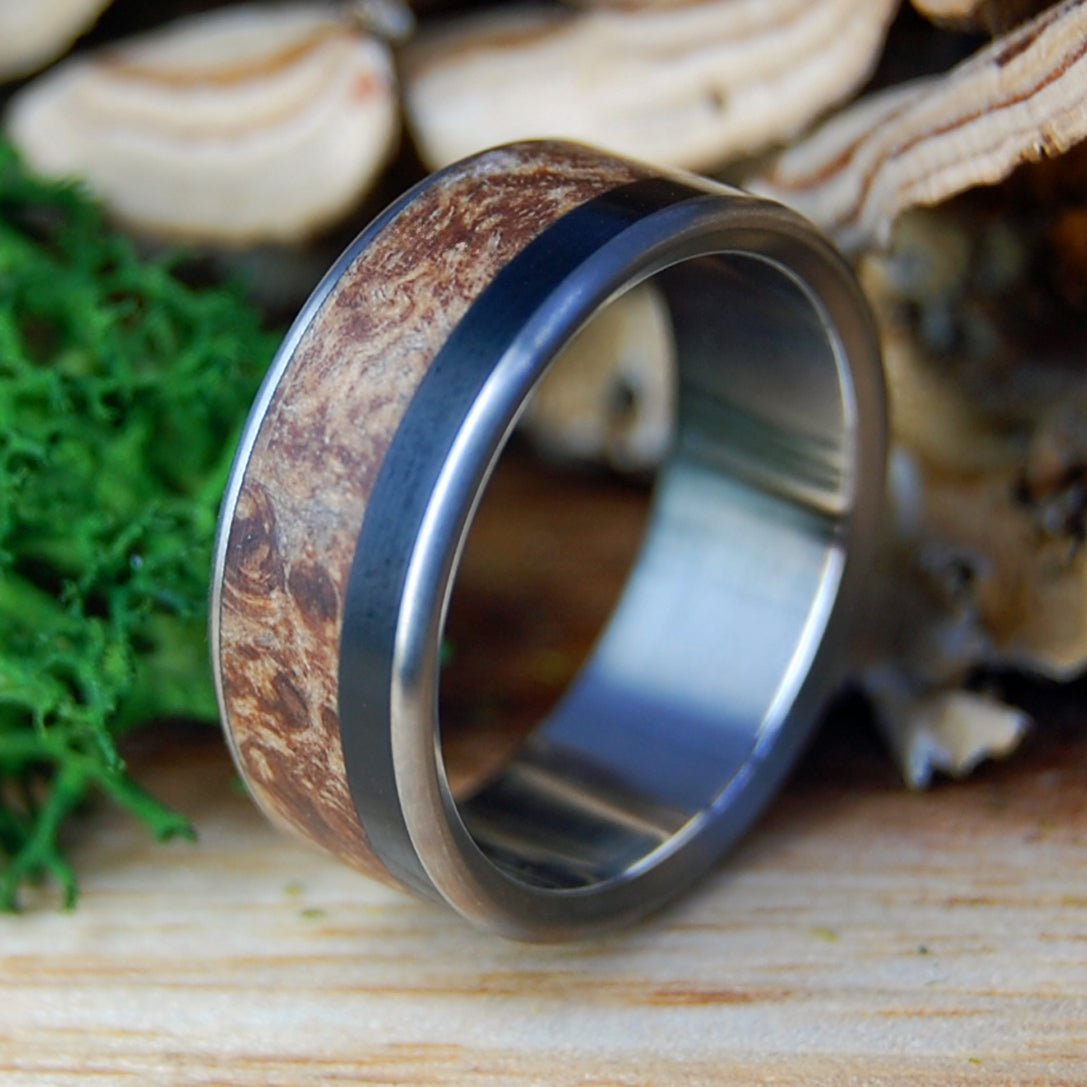 BISON THROUGH THE MAPLES I | Men's Bison Horn, Dark Maple & Titanium Wedding Ring - Minter and Richter Designs