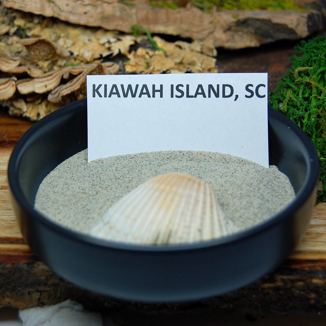 CAROLINA VIKING | Kiawah Beach Sand & Icelandic Lava Titanium Wedding Ring - Minter and Richter Designs
