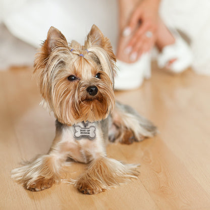 Dog Tag - Dog Of Honor | Dog Of Honor Dog Tag - Collar Charm - Minter and Richter Designs