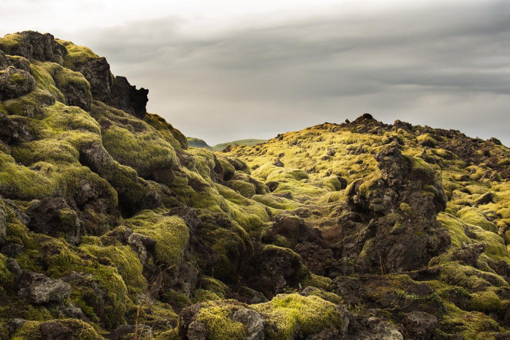 ELDHRAUN LAVA FIELD | Icelandic Lava & Jade Titanium Wedding Ring - Minter and Richter Designs